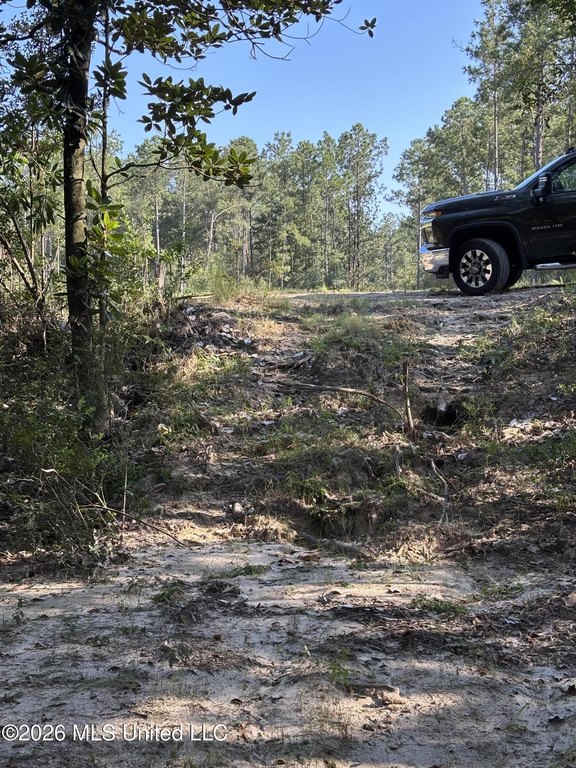 Picture 22