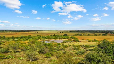 Hunting and Cattle Ranch Land