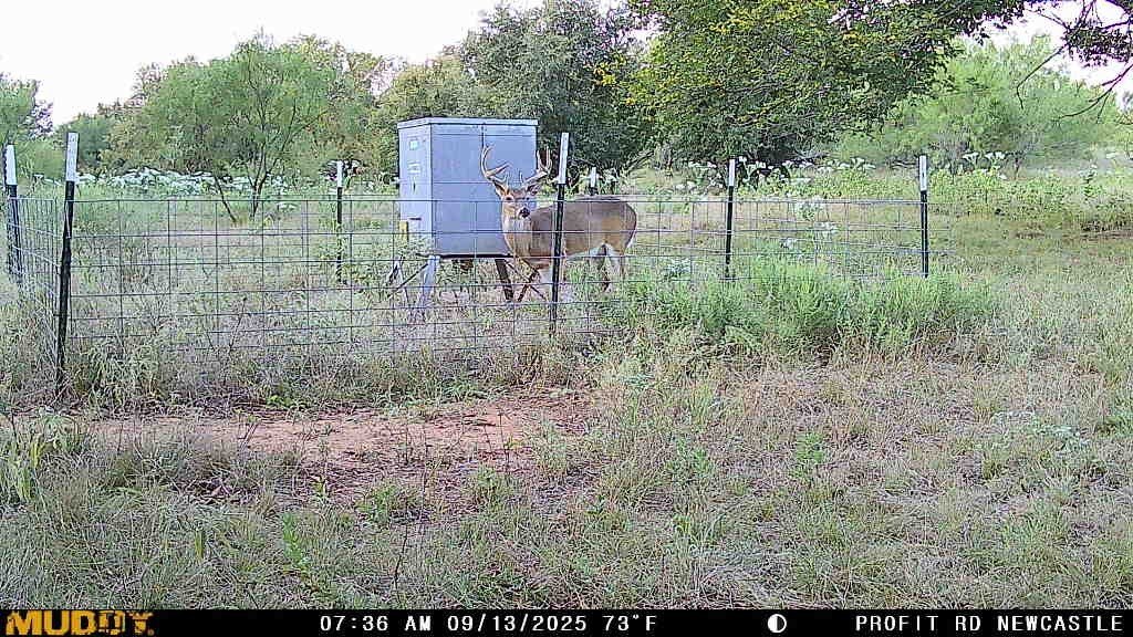 Picture 37