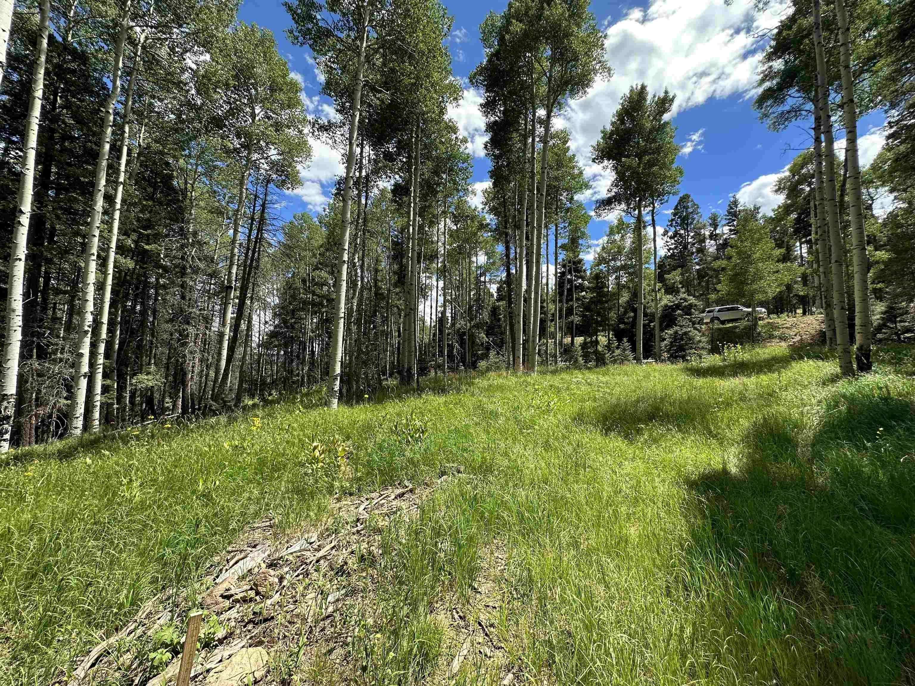 Land in Angel Fire, NM