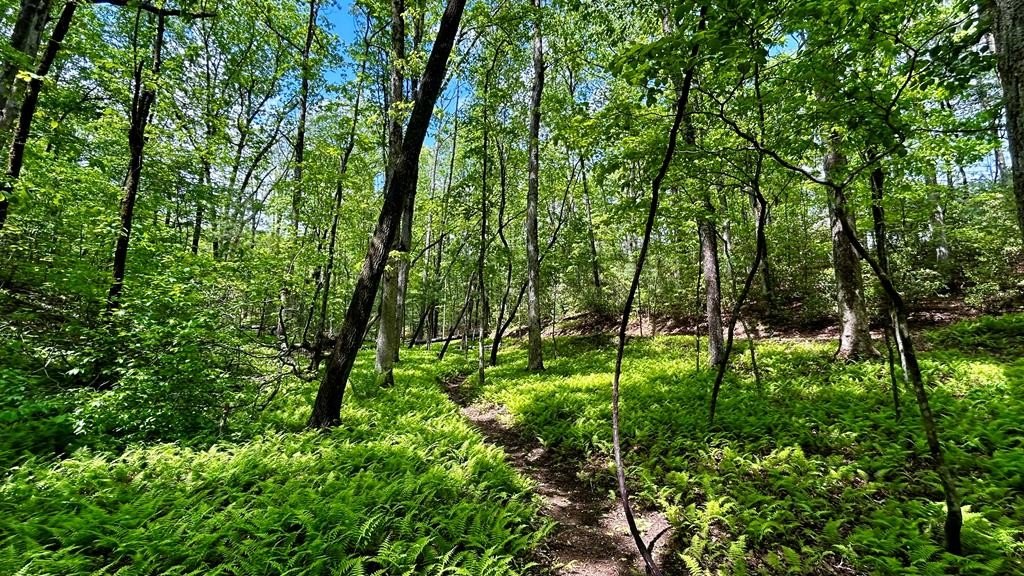 Ellijay Vacant Homesite Opportunity