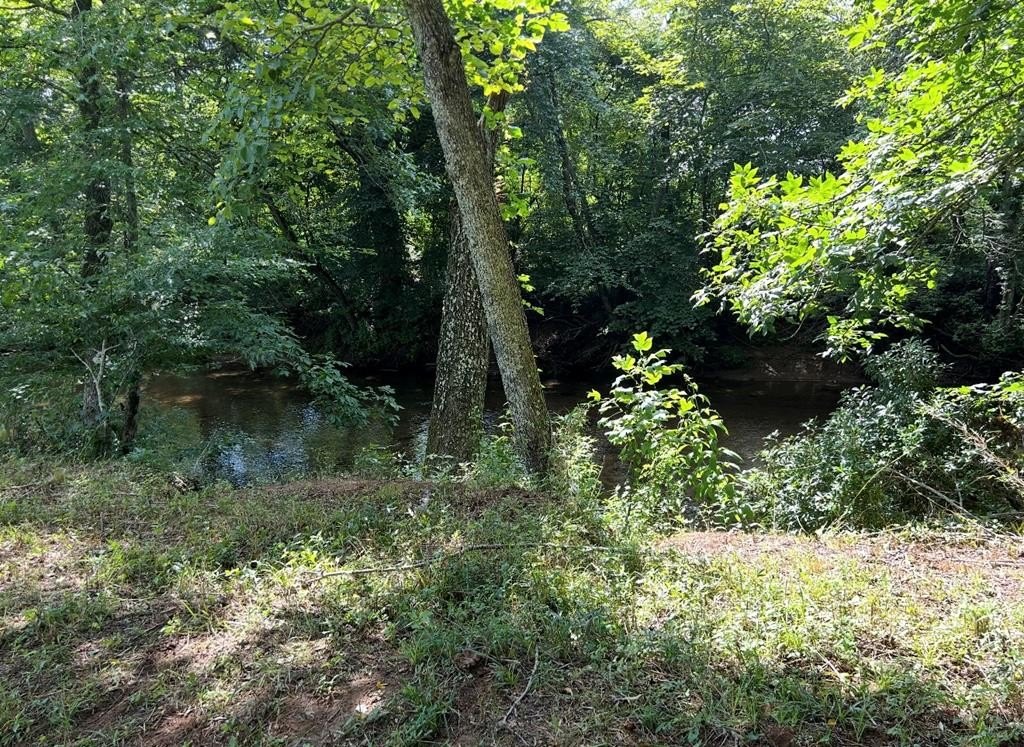 Picture 29