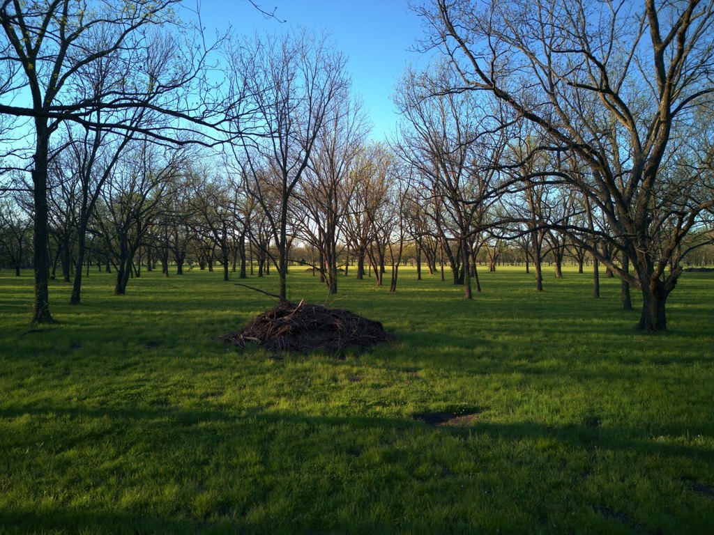 Picture 40