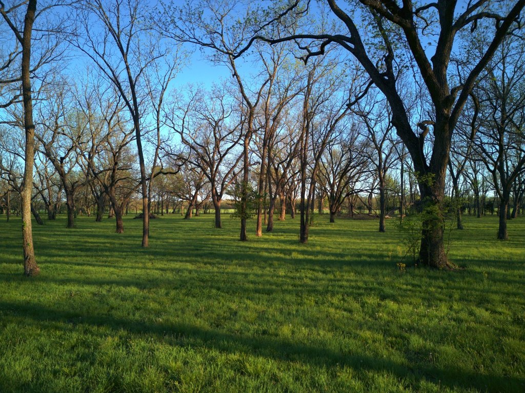 Picture 44
