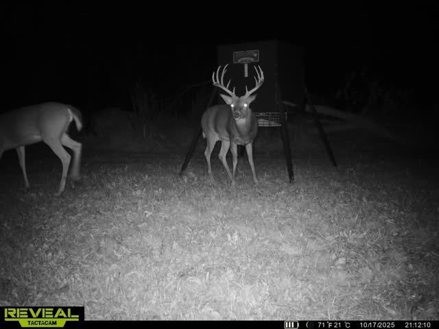 Picture 4