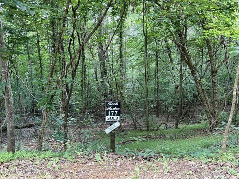 LAND - New Tazewell, TN