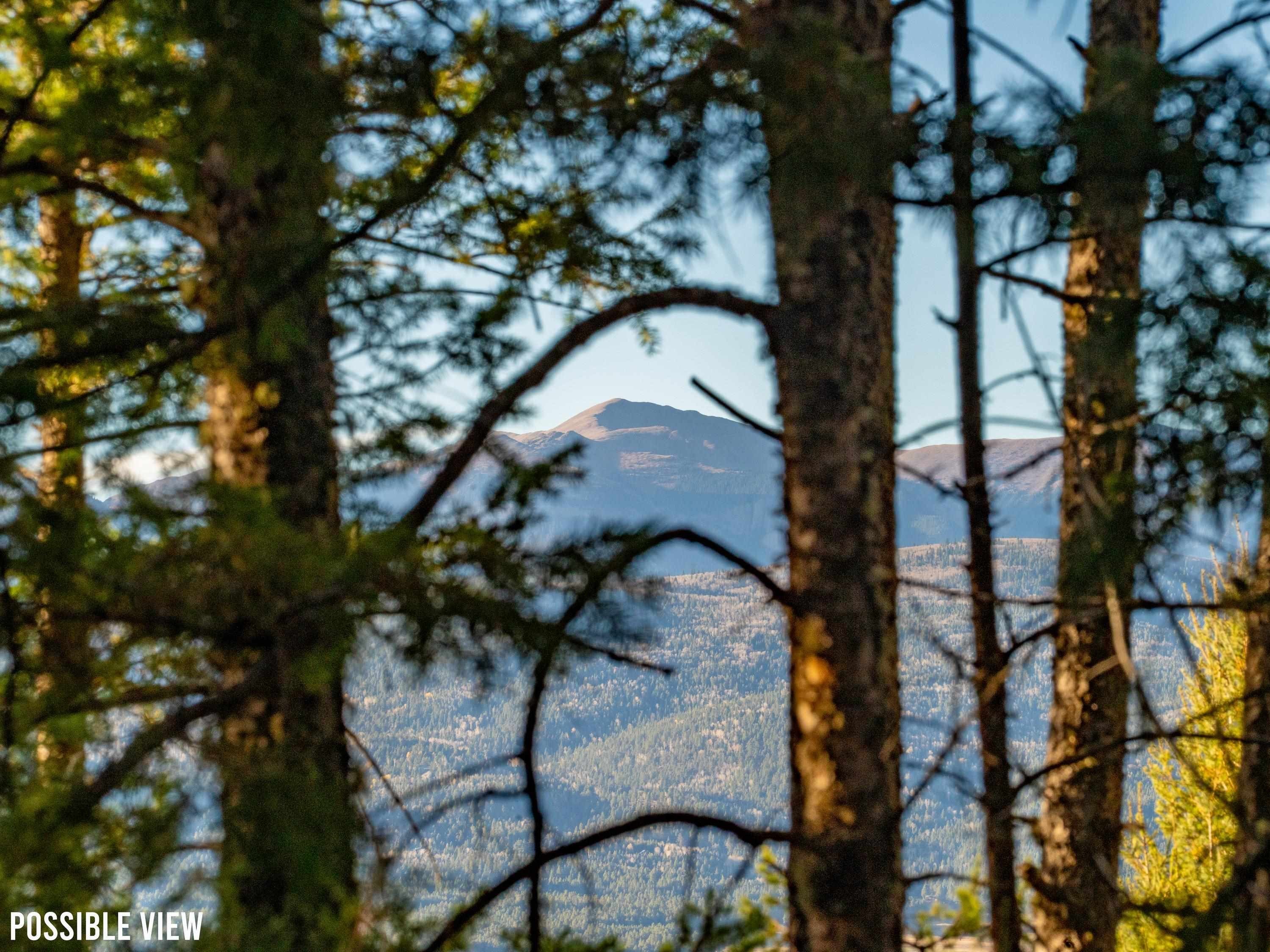 Angel Fire Land Near Slopes