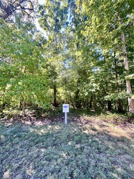 Land, Spring City, TN
