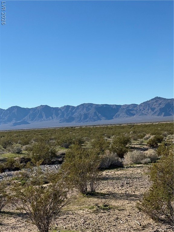 Picture 4
