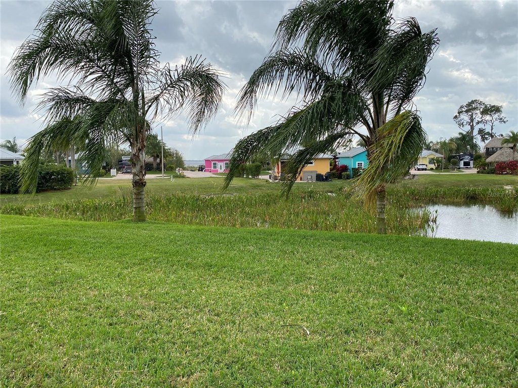 Picture 21