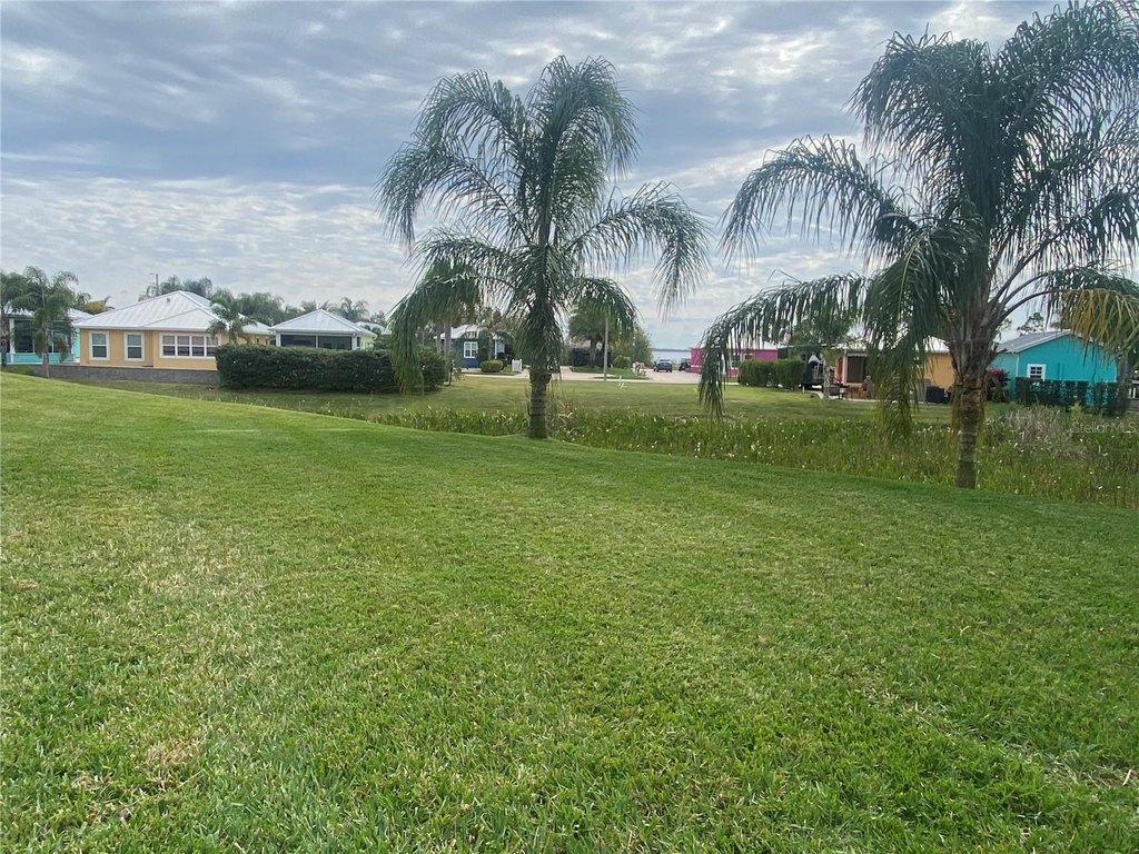 Picture 19