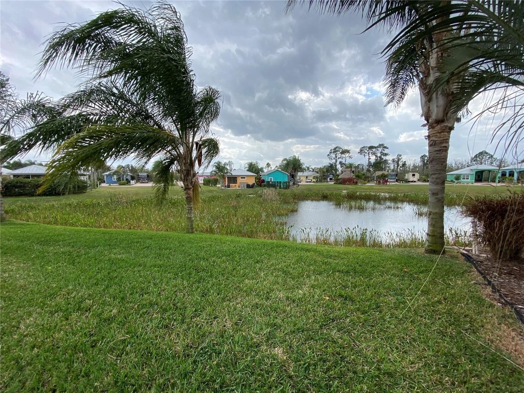 Picture 20