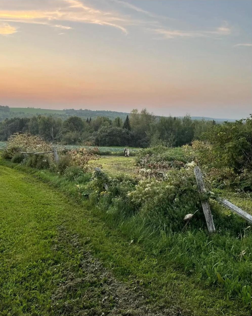 Expansive Land in Chapman, Maine