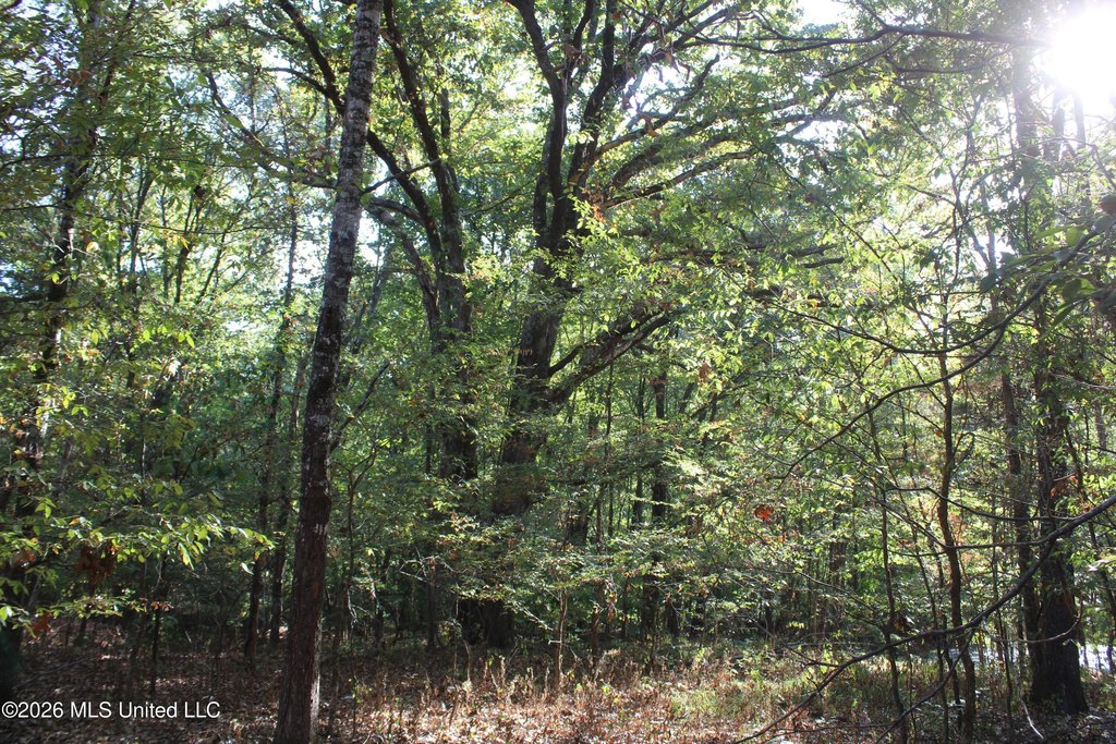 Picture 63