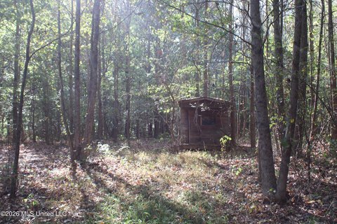 Land, Nesbit, MS