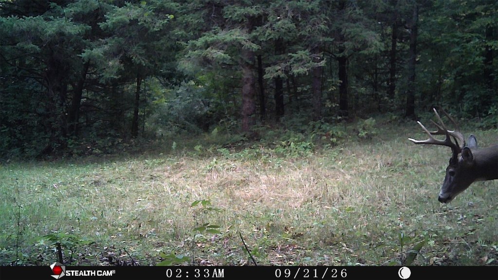 Picture 8