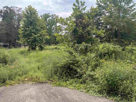 LAND - Jessieville, AR