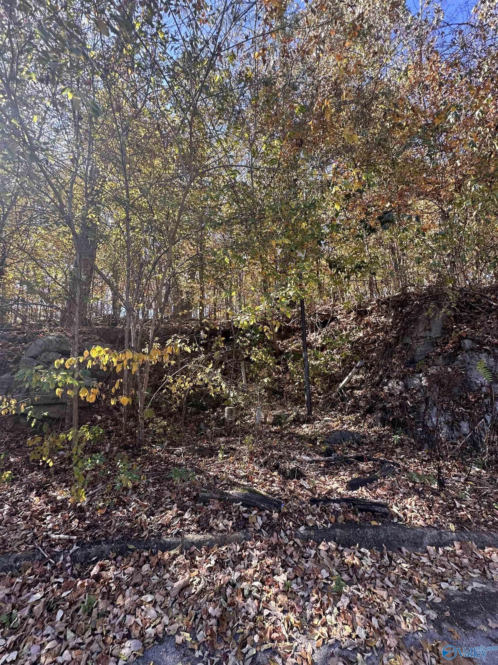 Land For Sale, Brownsboro, AL