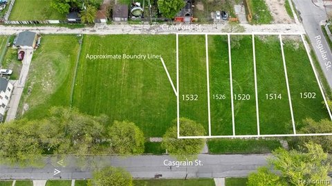 Detroit Land Redevelopment Opportunity