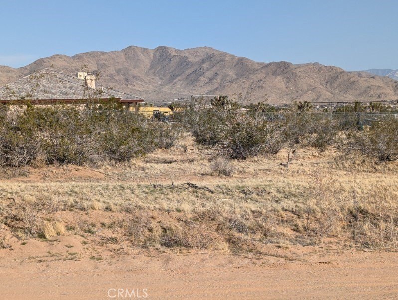 Picture 9