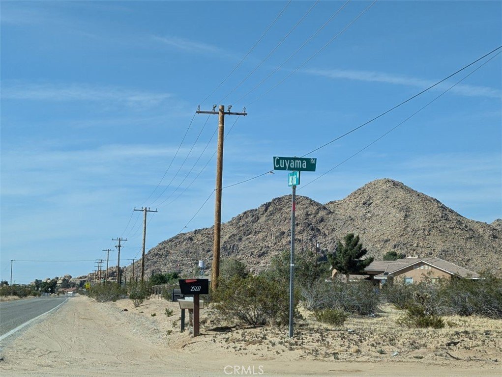 Picture 6