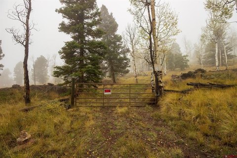 LAND, Powderhorn, CO