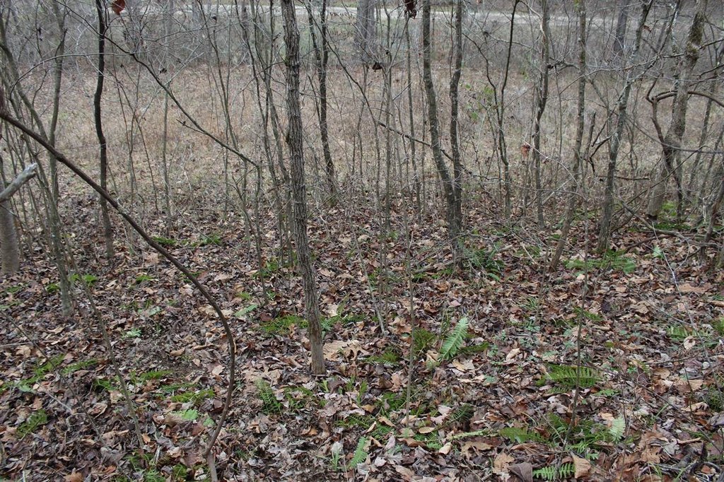 Picture 13