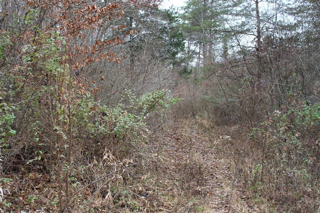 Picture 10