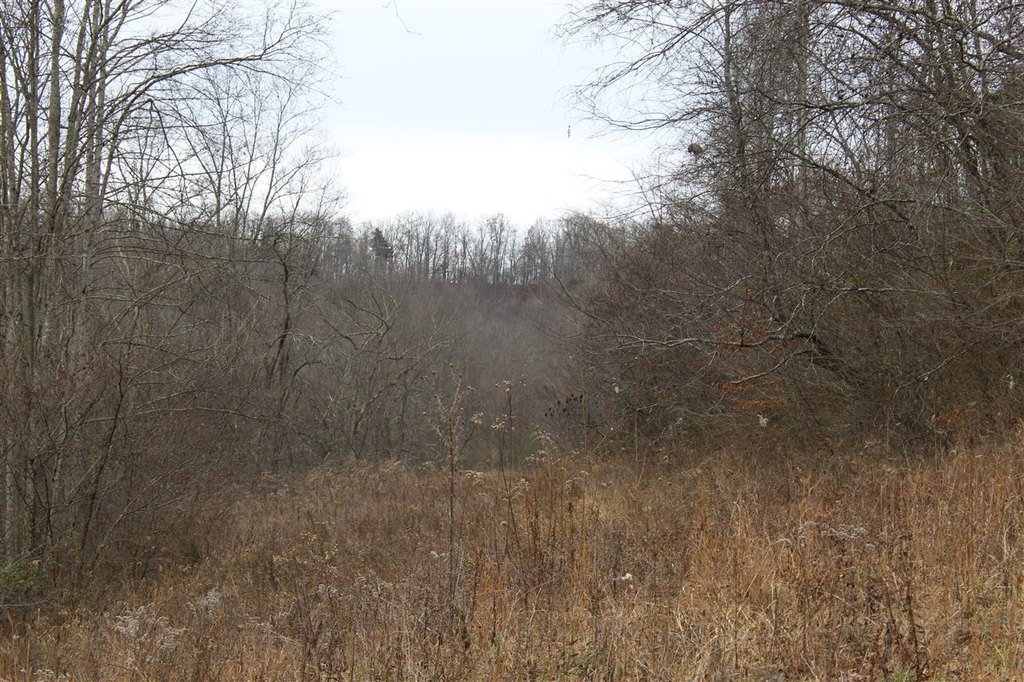 Picture 8