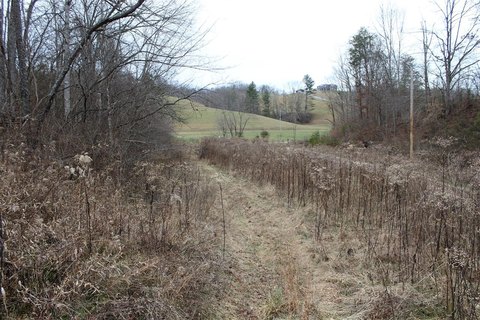 Hunting Land with Electricity Access