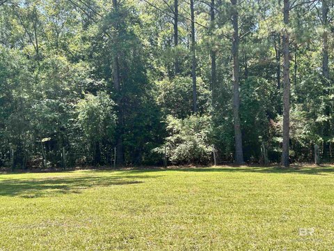 Wooded Acreage on Highway 59