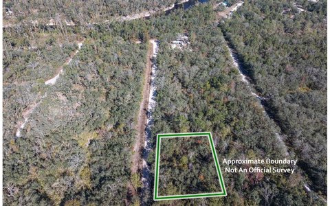 Residential Lot Near Suwannee River