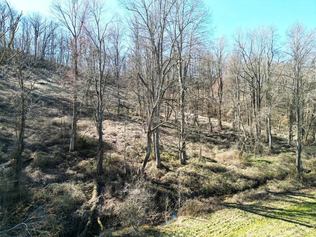 Picture 10