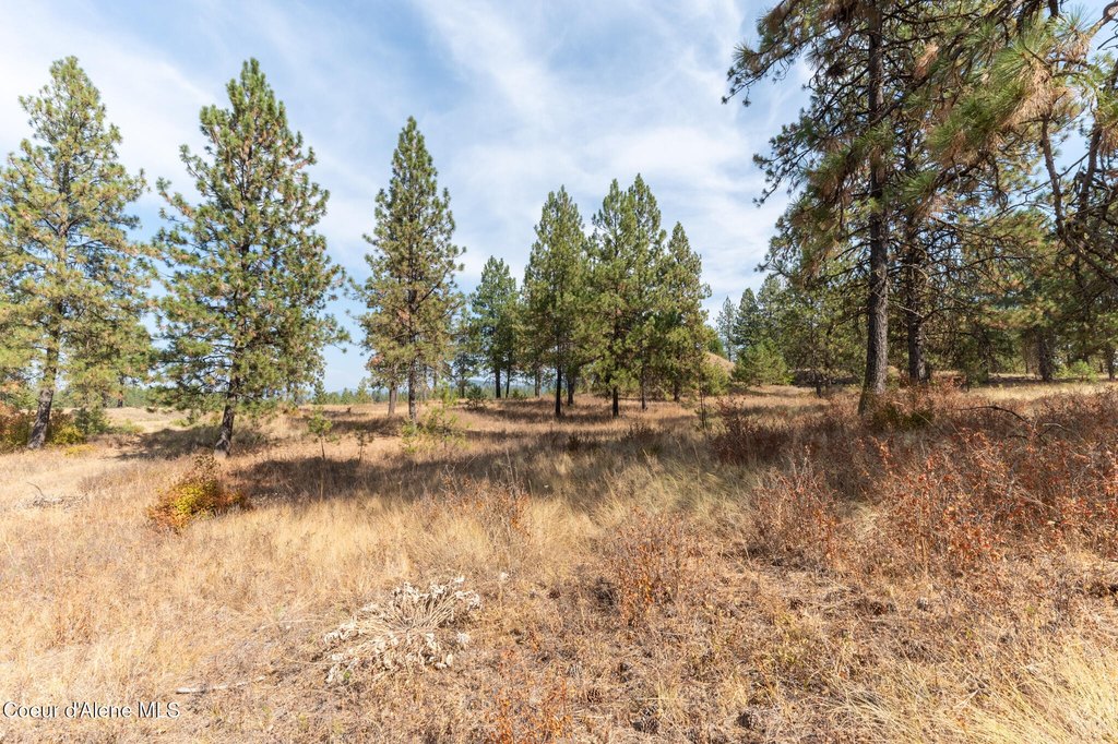 Picture 18