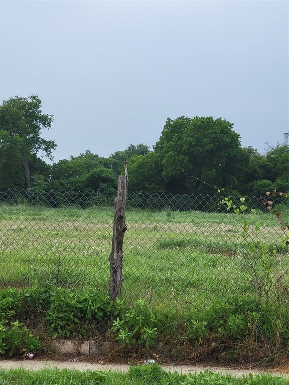Picture 13