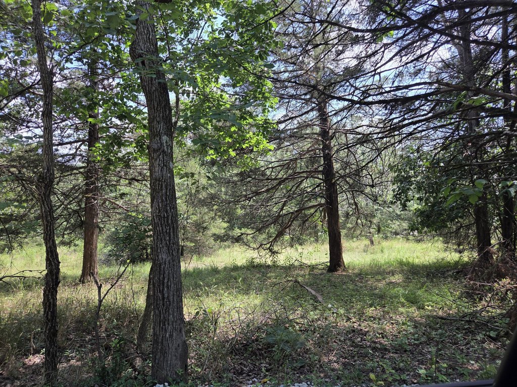 Picture 5