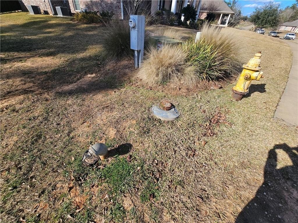 Picture 25