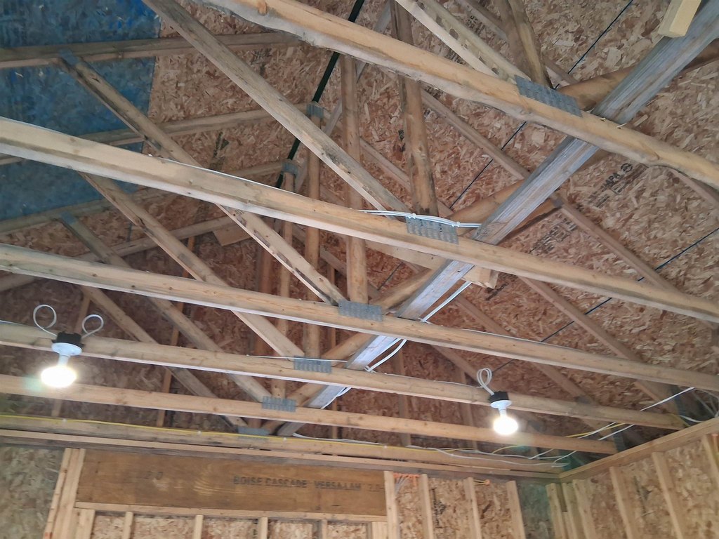 Picture 9