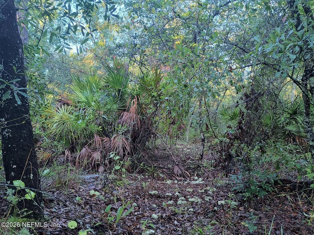 Picture 12
