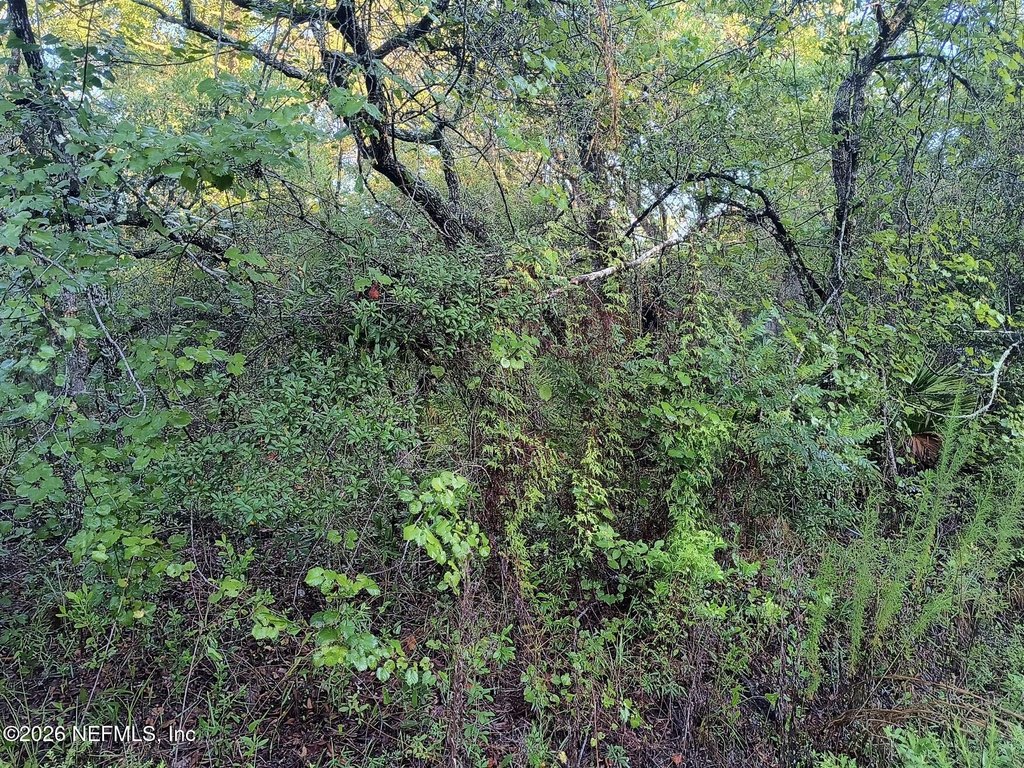 Picture 8