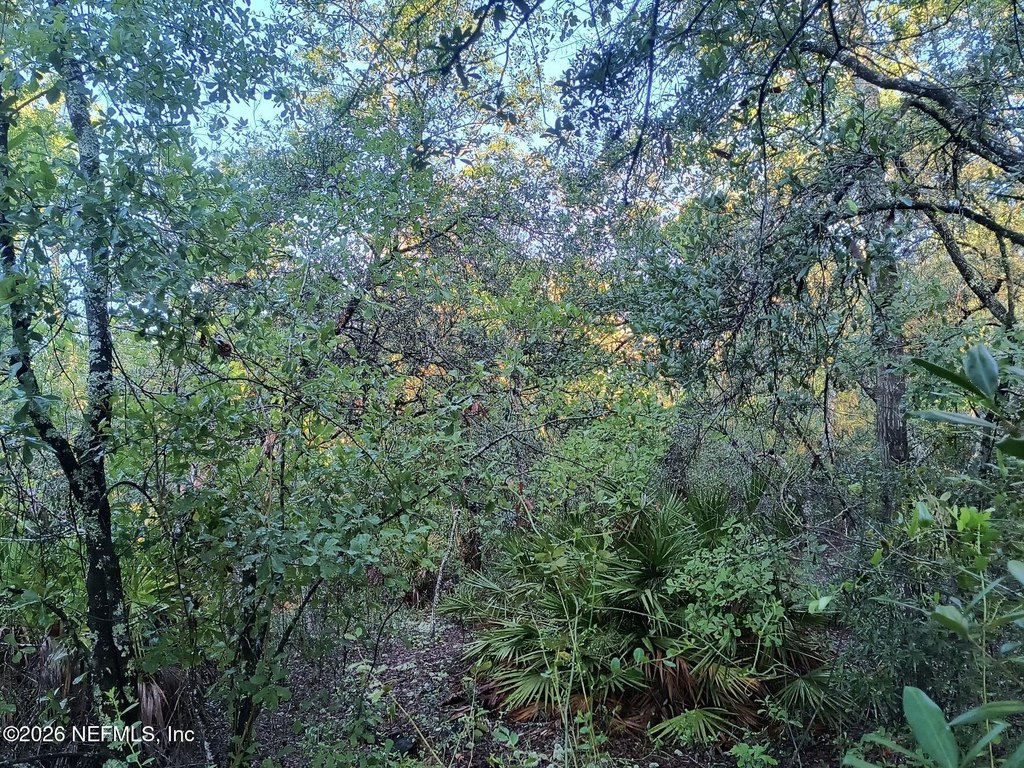 Picture 11