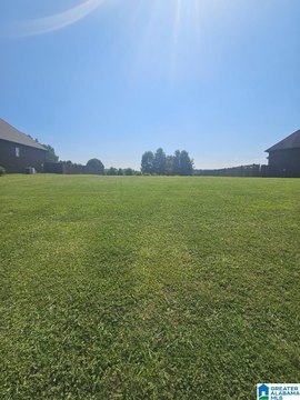 Residential Lot in Odenville