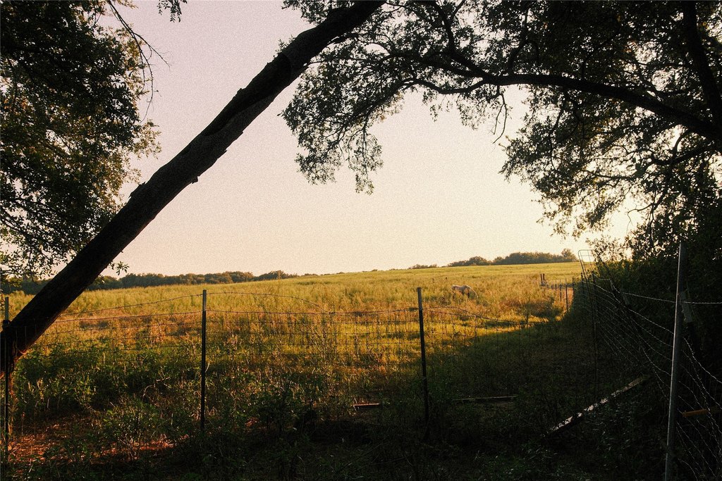 Picture 19