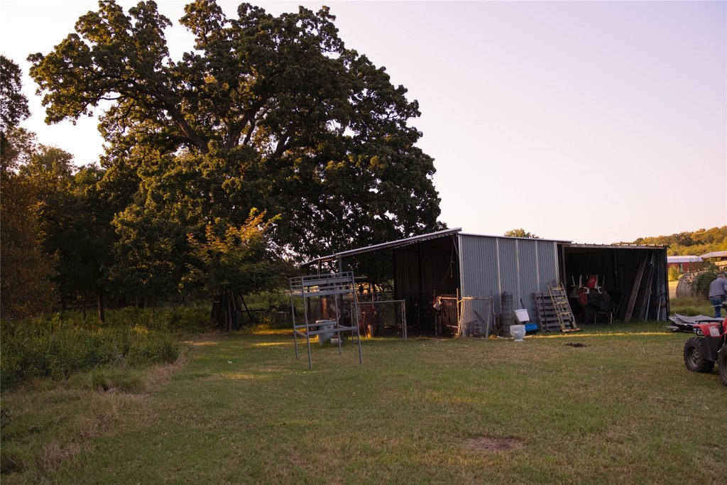 Picture 15