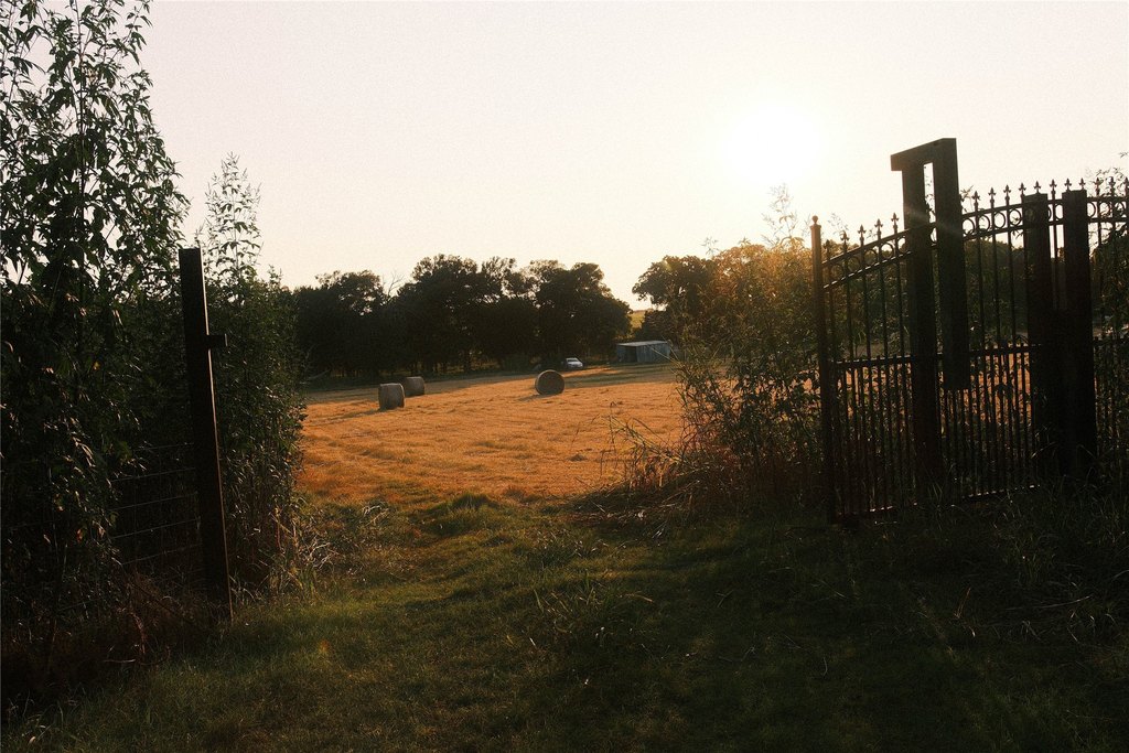 Picture 22