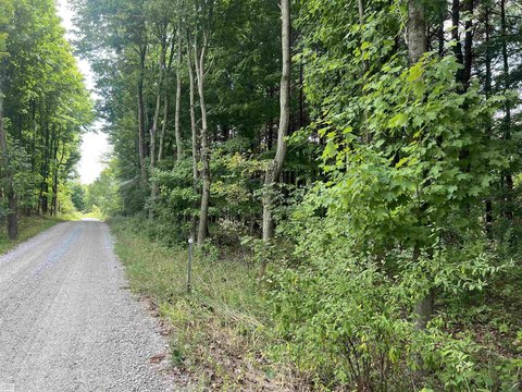 Wooded Land Ready For Building