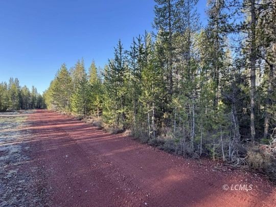 Chiloquin Land with Pine Trees