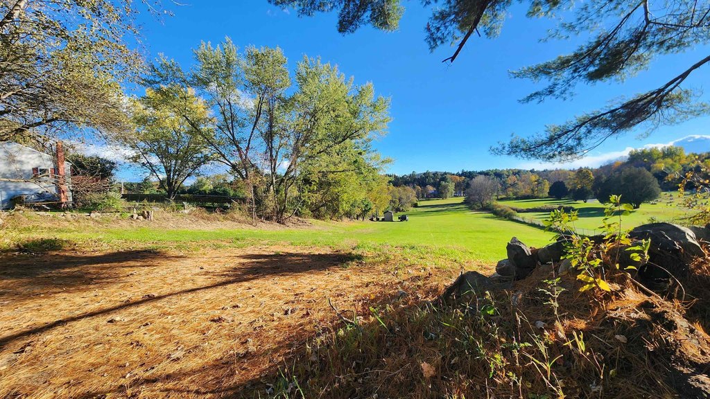 Picture 14