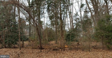 Land, ISSUE, MD
