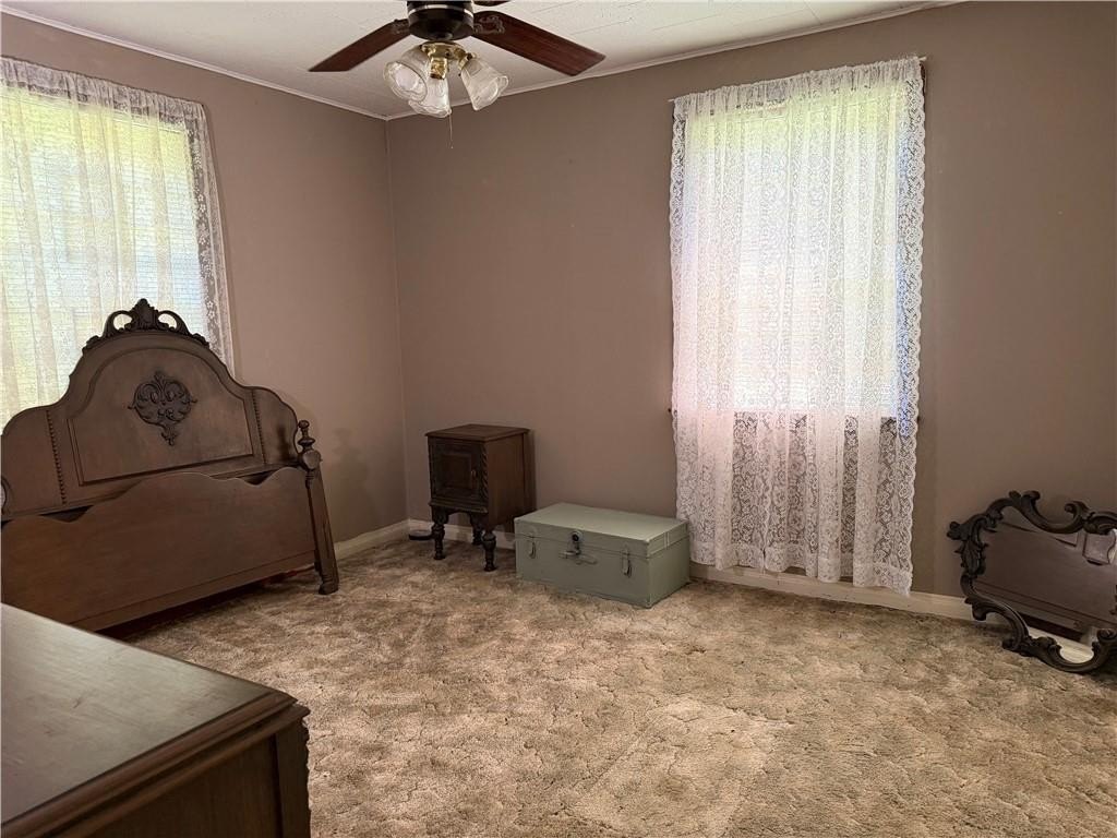 Picture 13